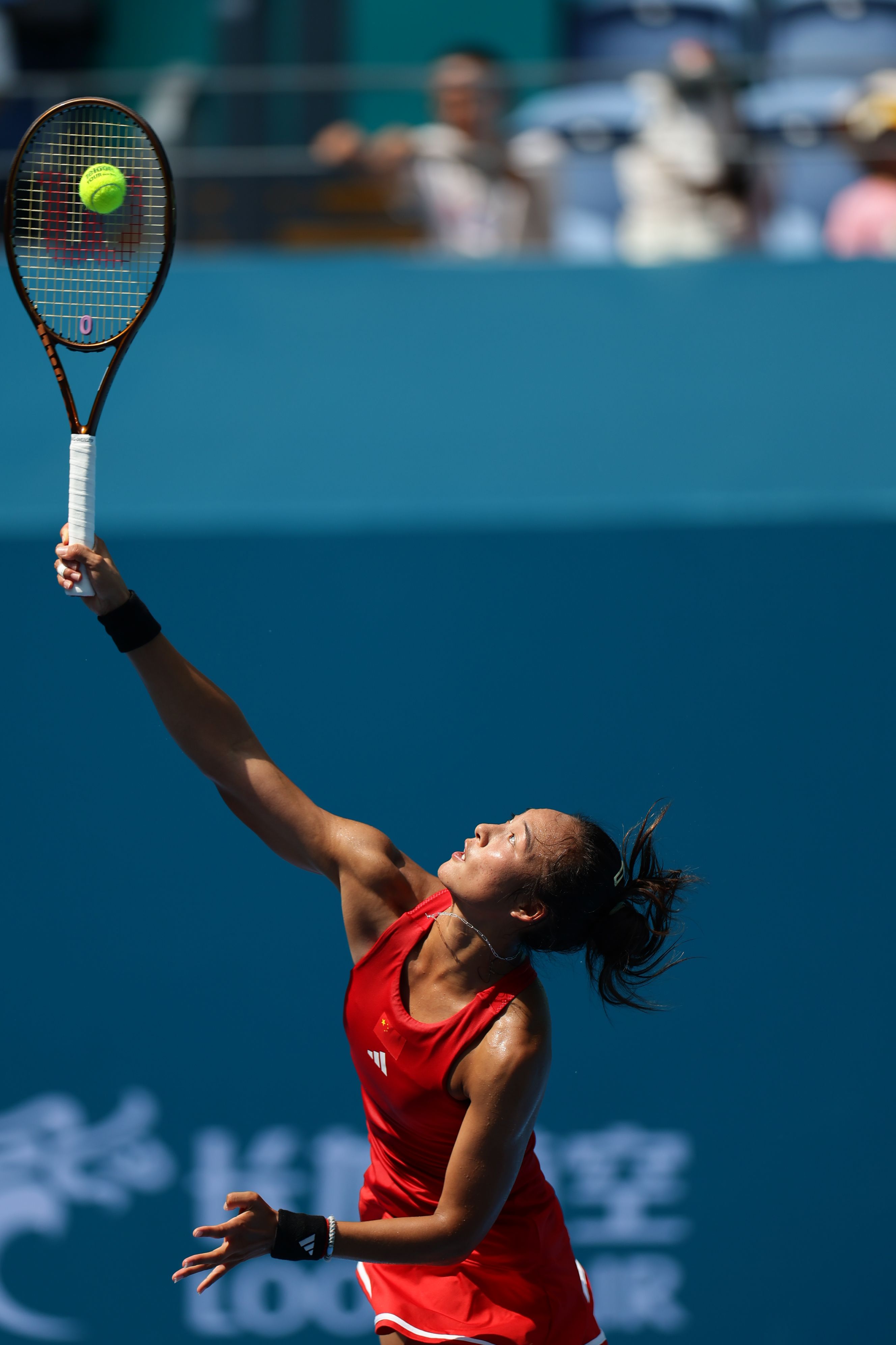 霍华德的眼 霍华德的眼