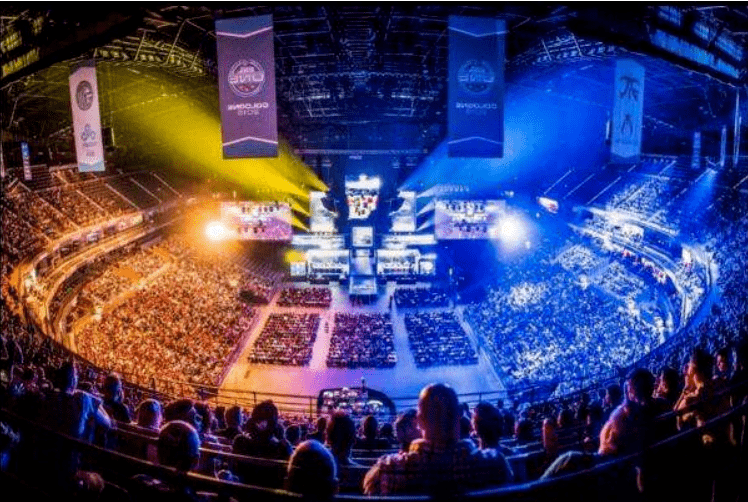 体收益和生 体收益和生